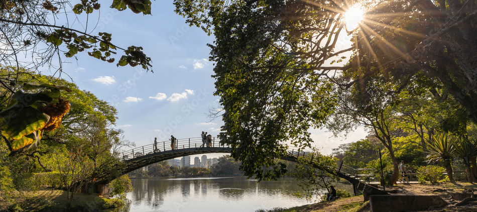 Apartamentos de alto padrão perto do Parque Ibirapuera em 2026